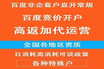 推广竞价实战经验：成功案例分享与启示